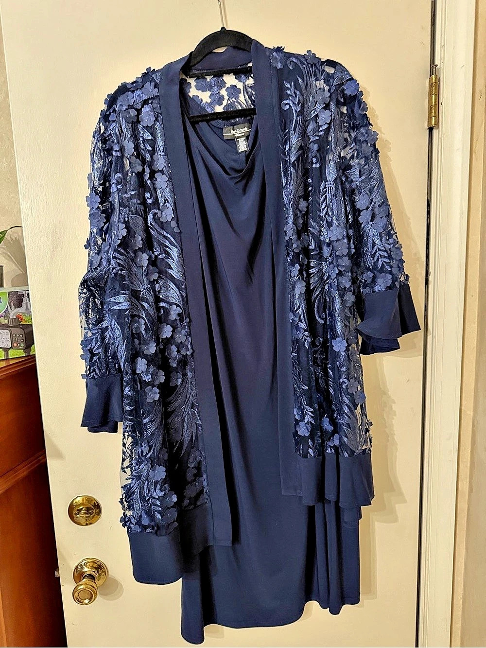 R&M Richards Women's Floral Lace Overlay Maxi Dress 22W